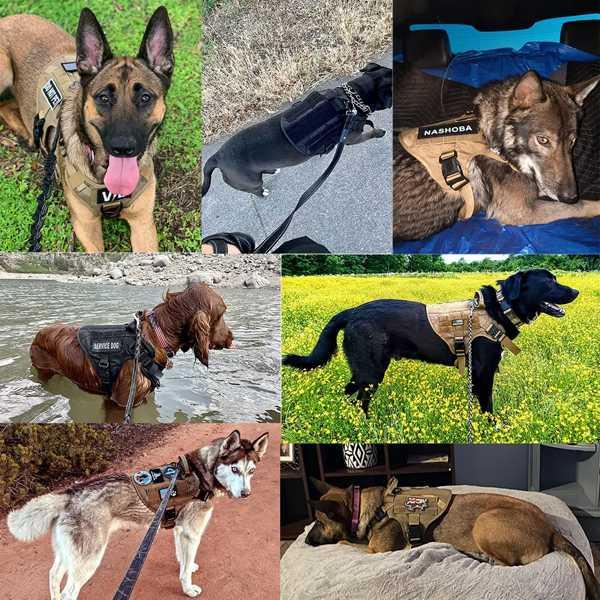 大型犬用ハーネスとリーシュセット、ペット、ジャーマンシェパード、malinois、トレーニング、ウォーキングベスト、襟セットすべての品種犬｜crowdshop｜06