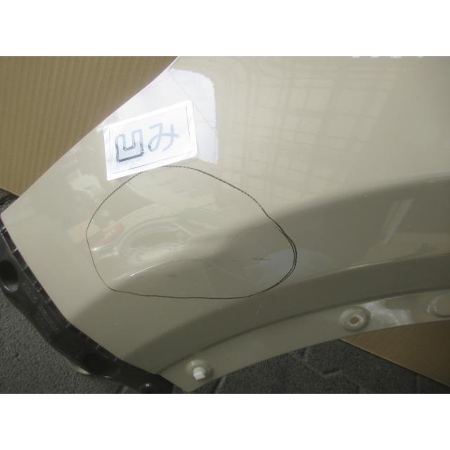ライズ フロントフェンダー左 LH 53812-B1320 フェンダーモール付き