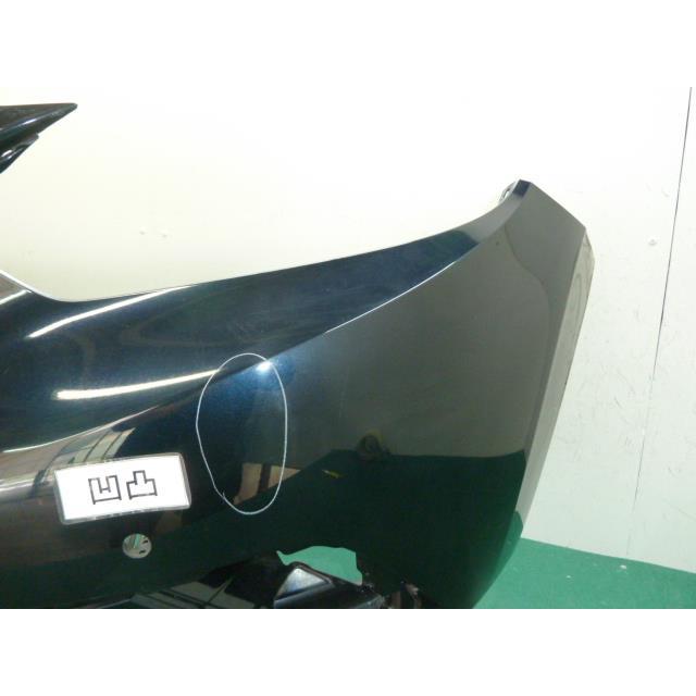 ☆坂本直行☆「カエデ」筆書き 八ツサイズ 未使用！ 坂本直行の