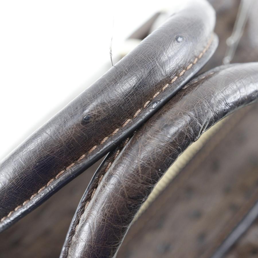 LOEWE（ロエベ） アマソナ ハンドバッグ オーストリッチ レディース