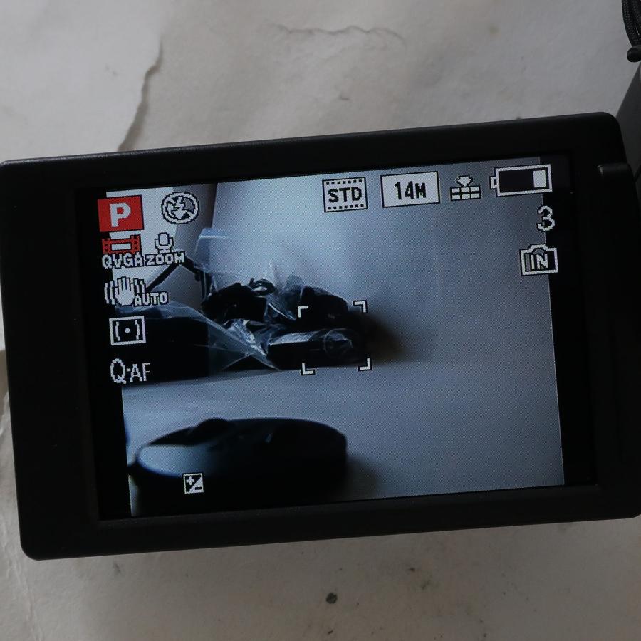 パナソニック Panasonic Lumix デジタルカメラ DMC-FZ100【M122526036
