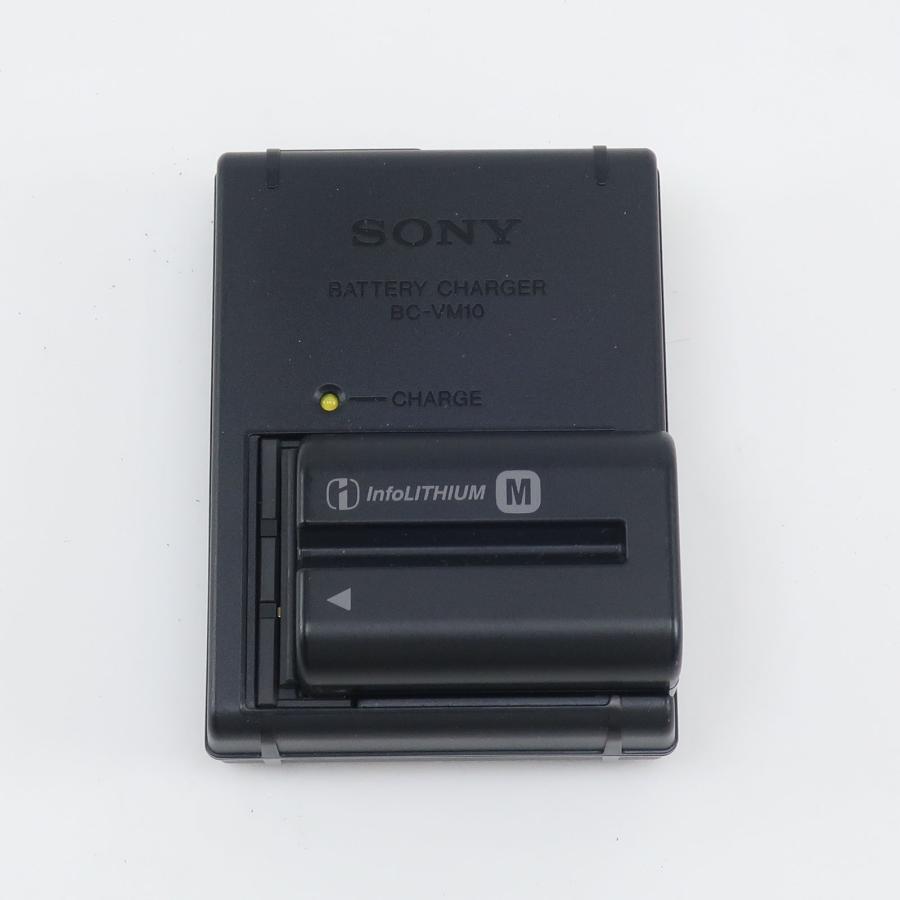 名機SONY Cyber-shot DSC-F828 デジカメ　専用ケース ソニー SONY Cyber-Shot サイバーショット デジタルカメラ DSC-F828