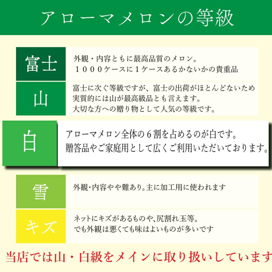 送料無料 産地直送 アローマメロン【並(白等級)】中玉(1.２kg前後)1玉入り 冬ギフト 静岡アローマメロン 静岡県産 マスクメロン メロン高級フルーツ 贈答 | ブランド登録なし | 04