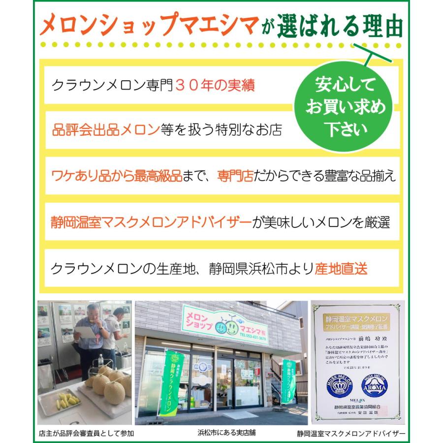 送料無料 産地直送 アローマメロン【並(白等級)】中玉(1.２kg前後)1玉入り 冬ギフト 静岡アローマメロン 静岡県産 マスクメロン メロン高級フルーツ 贈答 | ブランド登録なし | 05