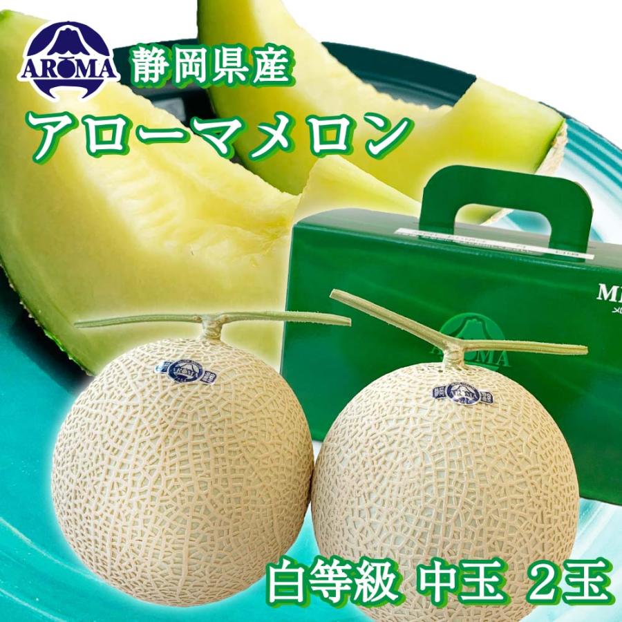 送料無料 産地直送 アローマメロン【並(白等級)】中玉(1.2kg前後)２玉入り 冬ギフト 静岡アローマメロン 静岡県産 マスクメロン お見舞い フルーツ 贈答 | ブランド登録なし