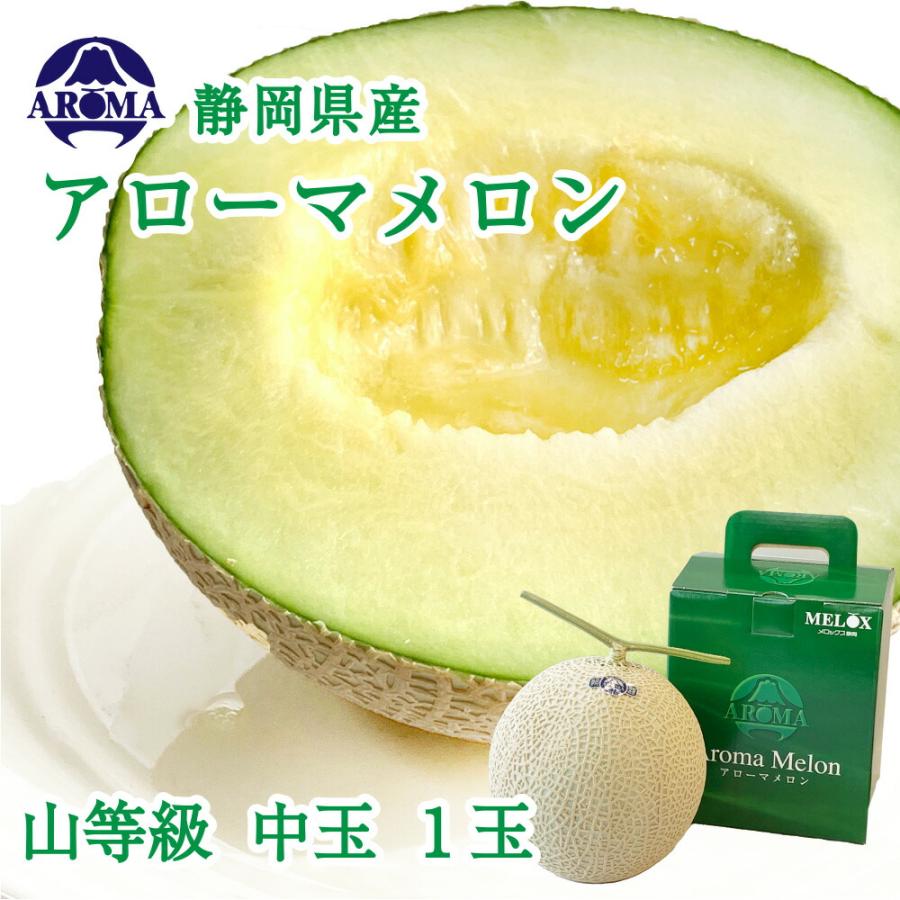 送料無料 産地直送 アローマメロン【上(山等級)】中玉(1.2kg前後) 1玉入り 冬ギフト 静岡アローマメロン 静岡県産 マスクメロン お見舞い フルーツ 贈答 | ブランド登録なし
