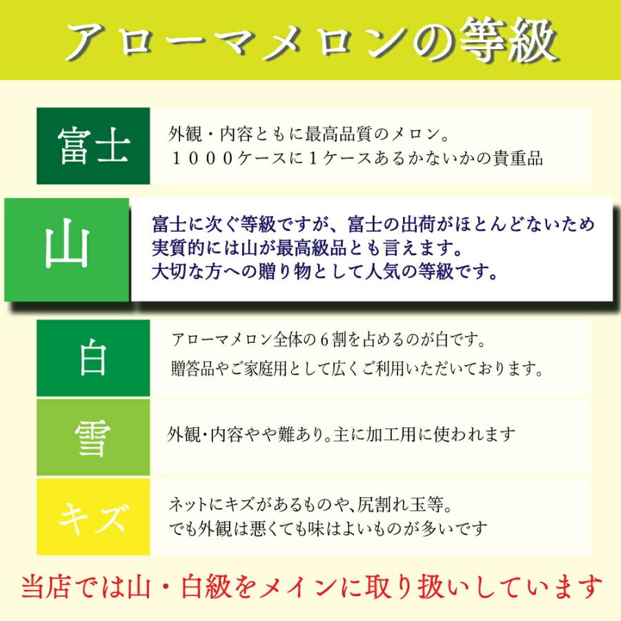 送料無料 産地直送 アローマメロン【上(山等級)】中玉(1.2kg前後) 1玉入り 冬ギフト 静岡アローマメロン 静岡県産 マスクメロン お見舞い フルーツ 贈答 | ブランド登録なし | 04