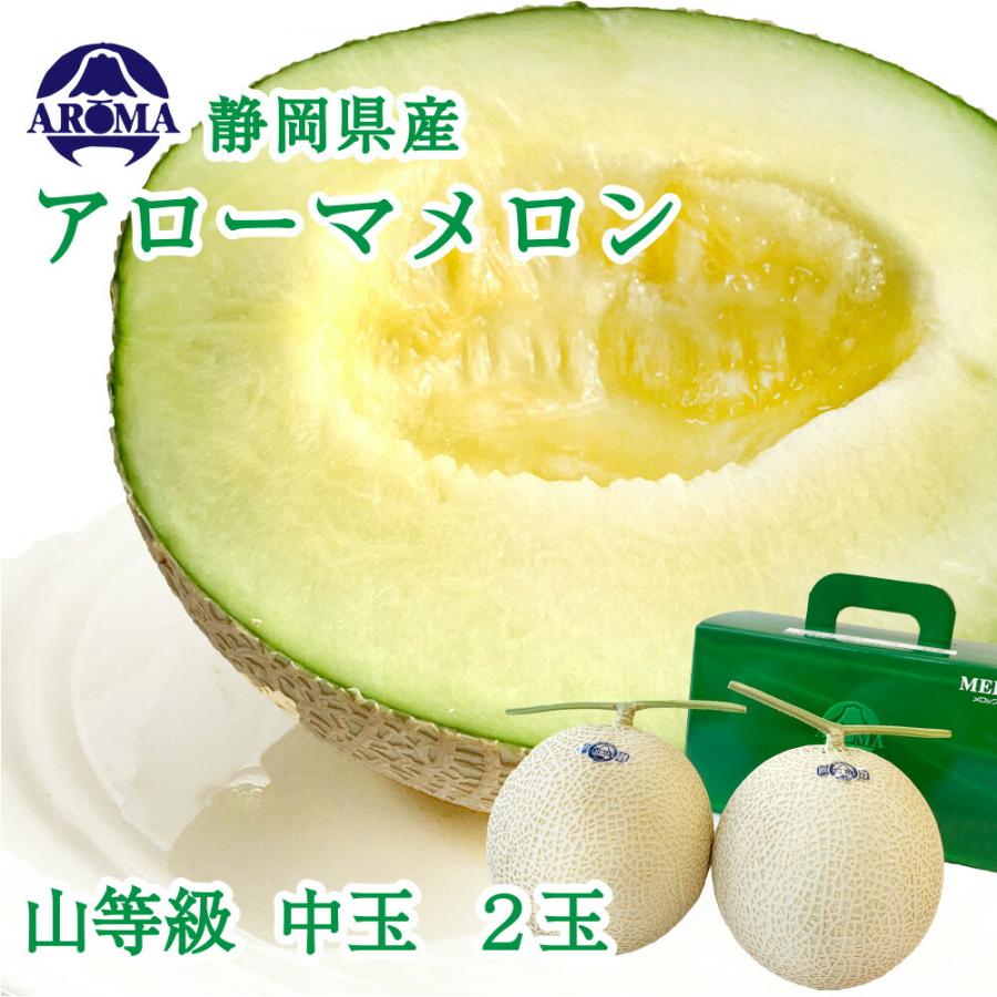 送料無料 産地直送 アローマメロン【上(山等級)】中玉(1.2kg前後)2玉
