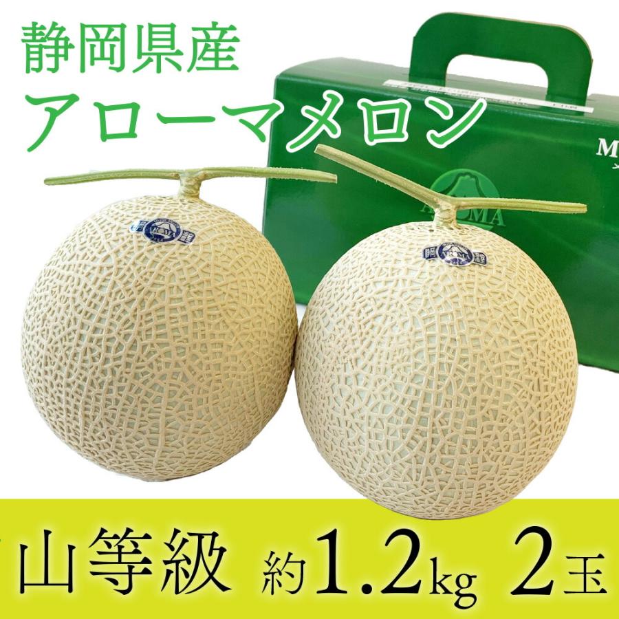 送料無料 産地直送 アローマメロン【上(山等級)】中玉(1.2kg前後)2玉