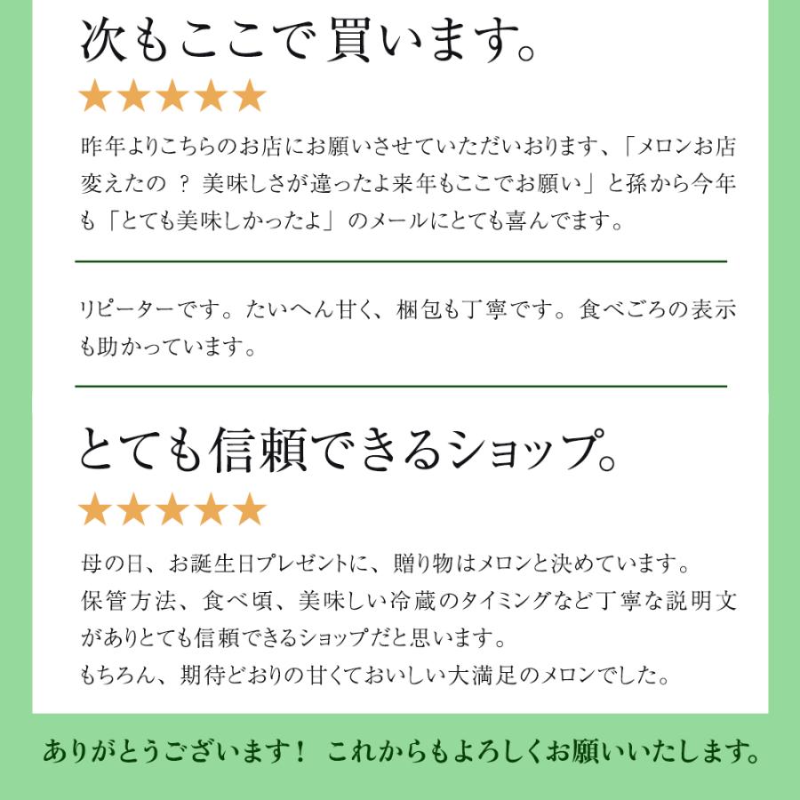 フルーツ・メロン クラウンメロン 並 白等級 中玉 1玉入り 静岡クラウンメロン マスクメロン メロン高級フルーツ お見舞い 母の日 ギフト 内祝い 贈答 | ブランド登録なし | 09