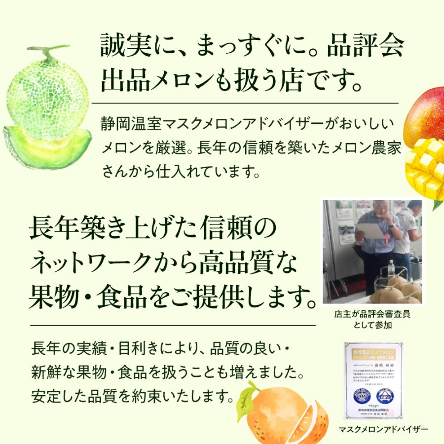 フルーツ・メロン クラウンメロン 並 白等級 中玉 1玉入り 静岡クラウンメロン マスクメロン メロン高級フルーツ お見舞い 母の日 ギフト 内祝い 贈答 | ブランド登録なし | 12