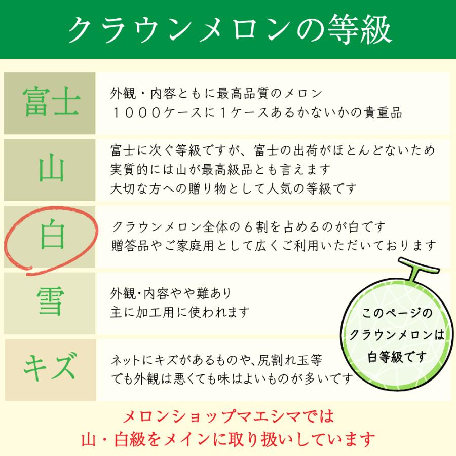 フルーツ・メロン クラウンメロン 並 白等級 中玉 1玉入り 静岡クラウンメロン マスクメロン メロン高級フルーツ お見舞い 母の日 ギフト 内祝い 贈答｜crownmelon｜06