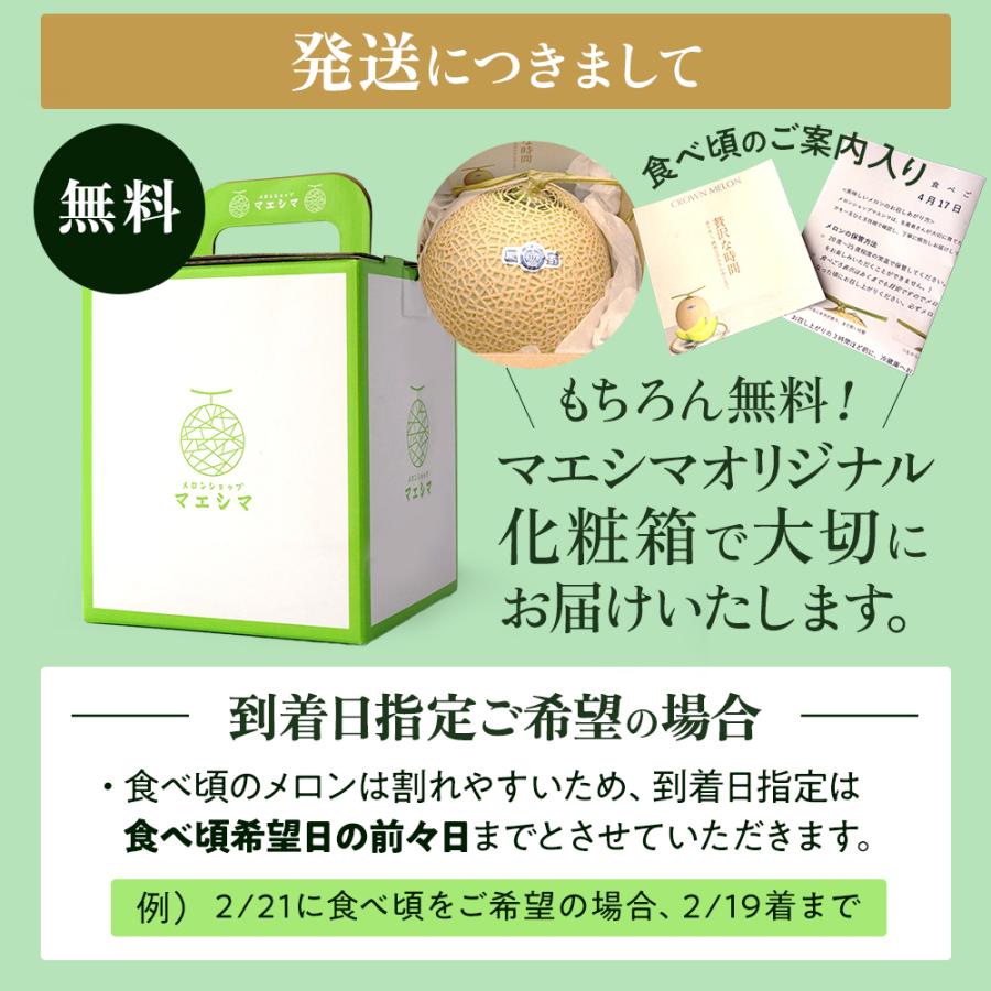 フルーツ・メロン クラウンメロン 並 白等級 中玉 1玉入り 静岡クラウンメロン マスクメロン メロン高級フルーツ お見舞い 母の日 ギフト 内祝い 贈答 | ブランド登録なし | 07