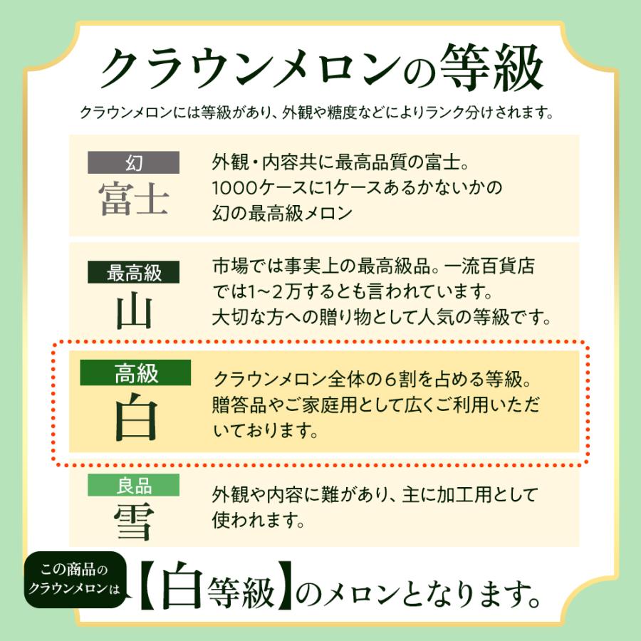 フルーツ・メロン クラウンメロン 並 白等級 中玉 1玉入り 静岡クラウンメロン マスクメロン メロン高級フルーツ お見舞い 母の日 ギフト 内祝い 贈答 | ブランド登録なし | 06