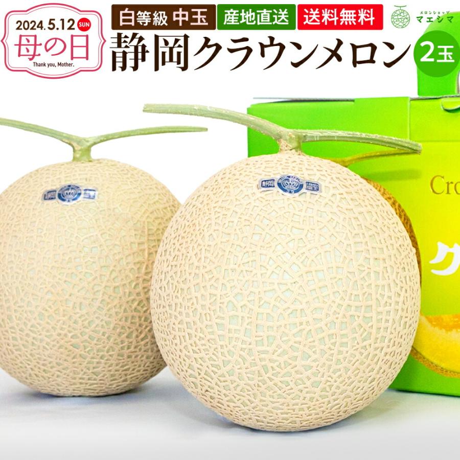 魅力的な価格 フルーツ メロン クラウンメロン 並 白等級 中玉 2玉入り 静岡クラウンメロン お中元 マスクメロン メロン高級フルーツ メロン専門店