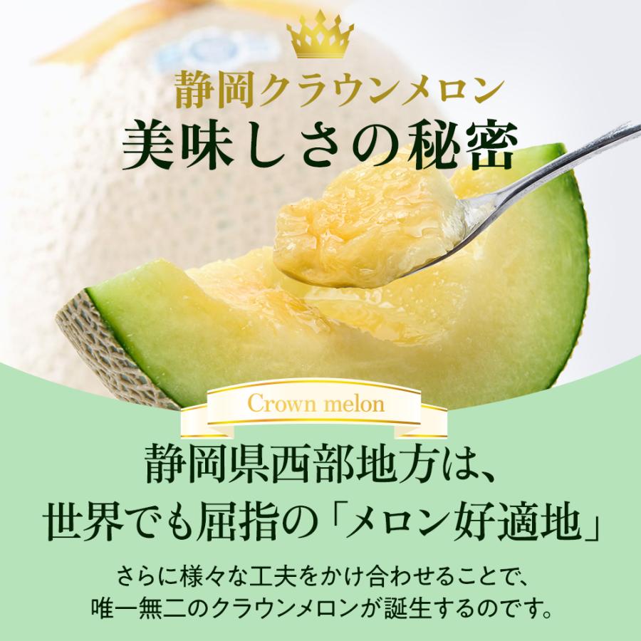 クラウンメロン 白等級 1.3kg前後 2玉 静岡県産 |  | 11