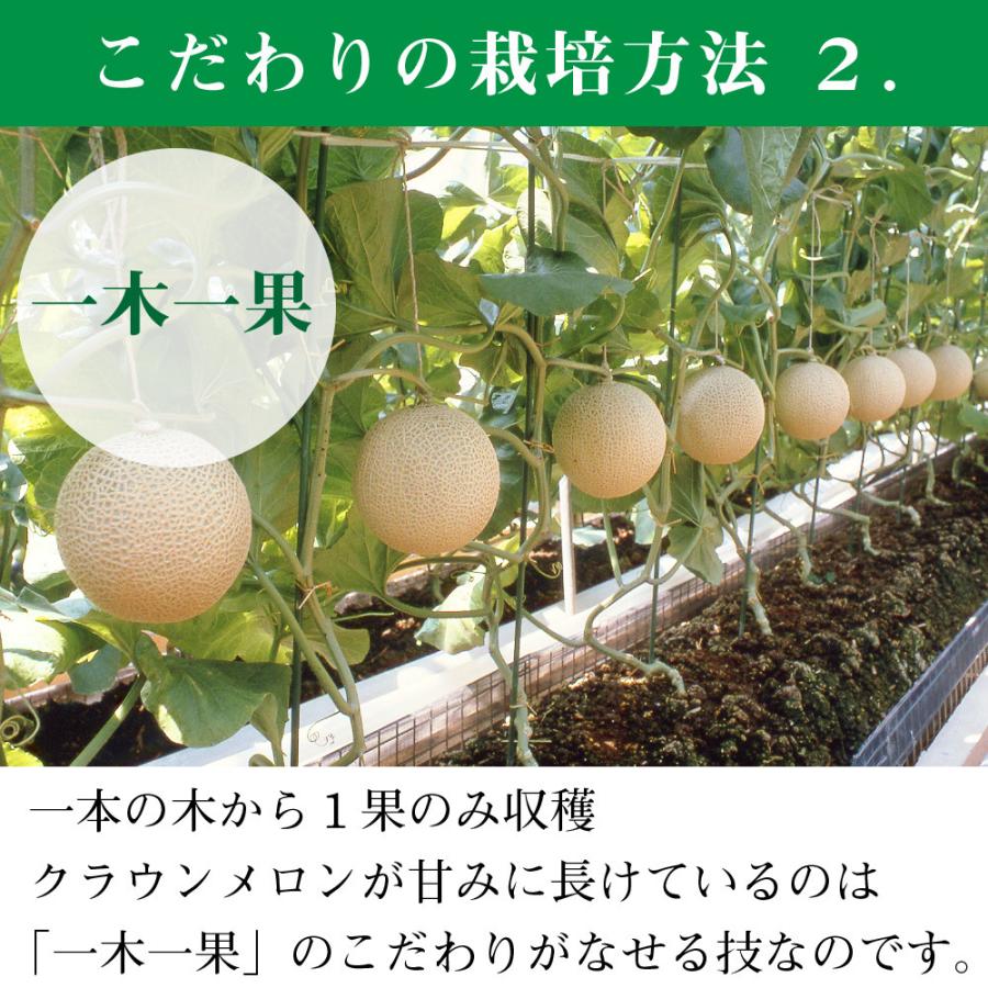フルーツ・メロン クラウンメロン 並 白等級 特大玉 1.5kg前後 1玉入り 静岡クラウンメロン マスクメロン メロン高級フルーツ お見舞い 母の日 ギフト 贈答 | ブランド登録なし | 08