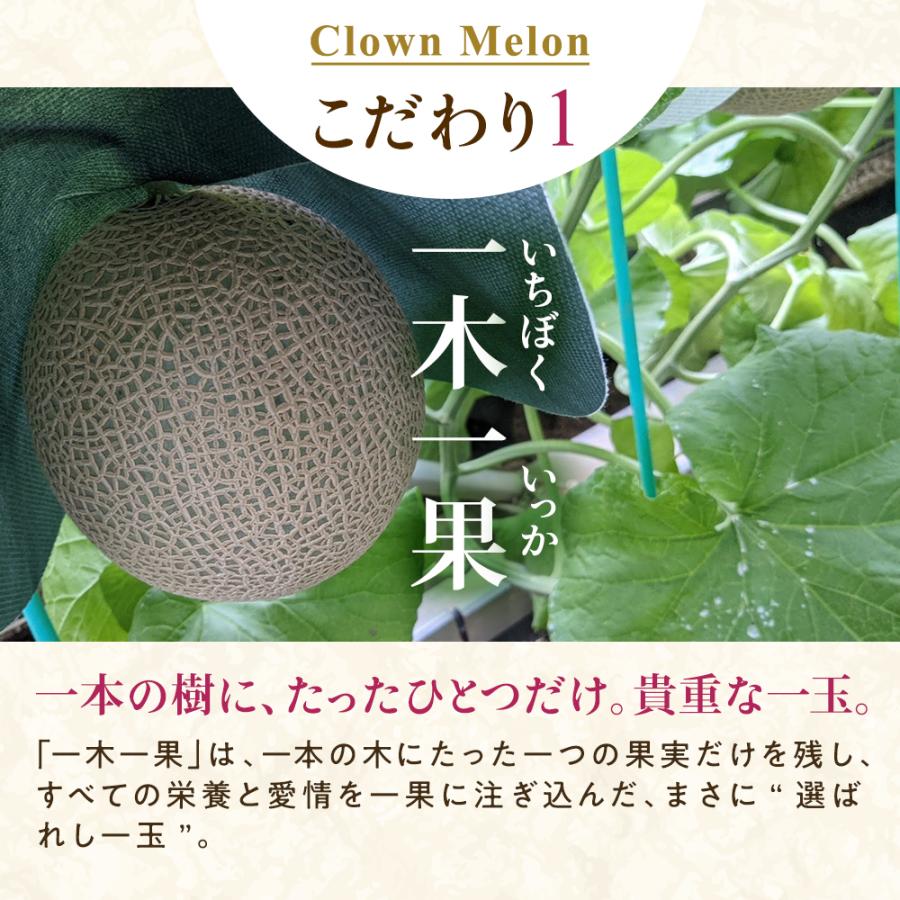 フルーツ・メロン クラウンメロン 桐箱入り 並 白等級 特大玉 1.5kg以上 1玉入り 静岡クラウンメロン マスクメロン メロン お見舞い 母の日 ギフト 贈答 | ブランド登録なし | 02