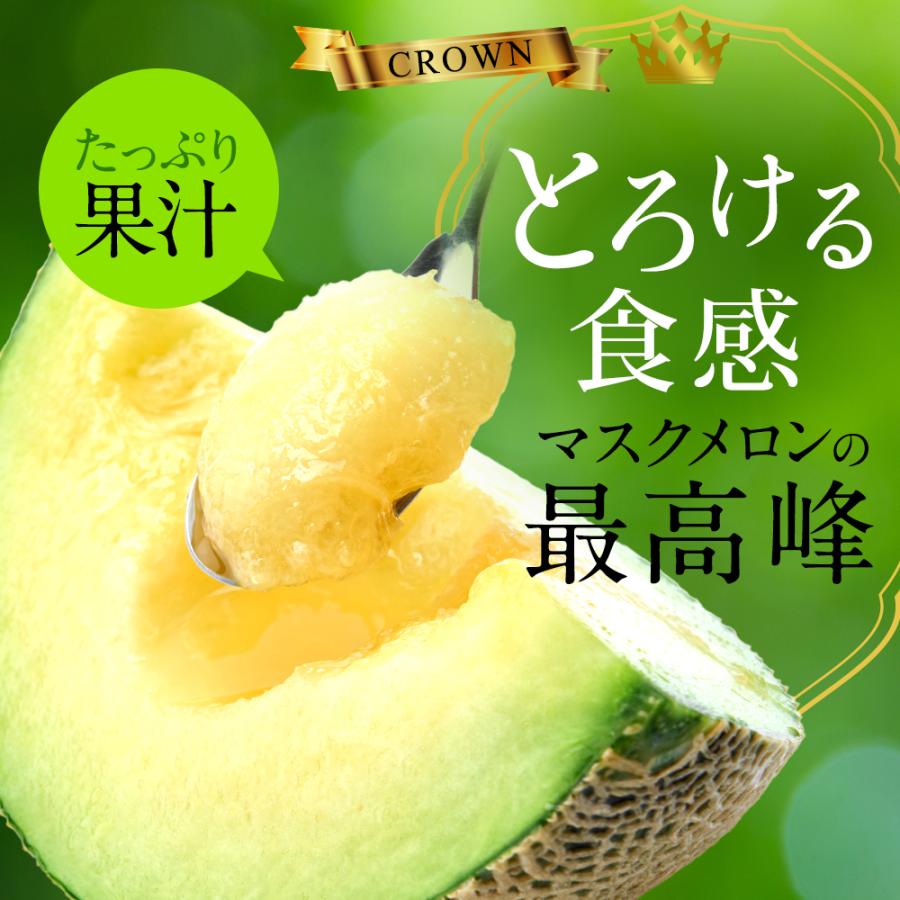 【送料無料】クラウンメロン 山等級 1.3kg前後 1玉 化粧箱入 静岡県産 高級フルーツギフト |  | 01