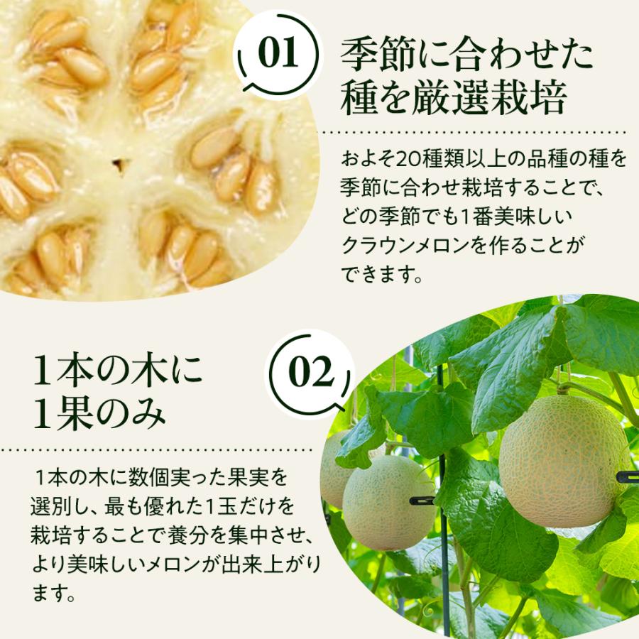 【送料無料】クラウンメロン 山等級 1.3kg前後 1玉 化粧箱入 静岡県産 高級フルーツギフト |  | 06
