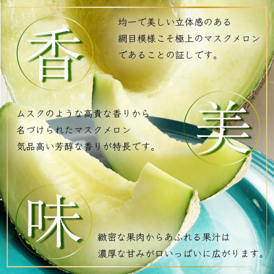 送料無料 産地直送 クラウンメロン 上 山等級 中玉 1.3kg前後 3玉入り 産地直送 静岡クラウンメロン 静岡県産 マスクメロン お見舞い フルーツ ギフト 贈答 | ブランド登録なし | 04