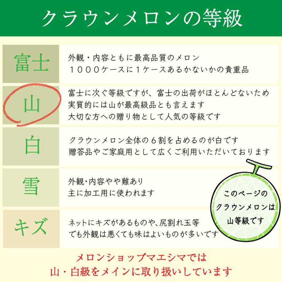 送料無料 産地直送 クラウンメロン 上 山等級 中玉 1.3kg前後 6玉入り 産地直送 静岡クラウンメロン 静岡県産 マスクメロン メロン高級フルーツ ギフト 贈答 | ブランド登録なし | 09