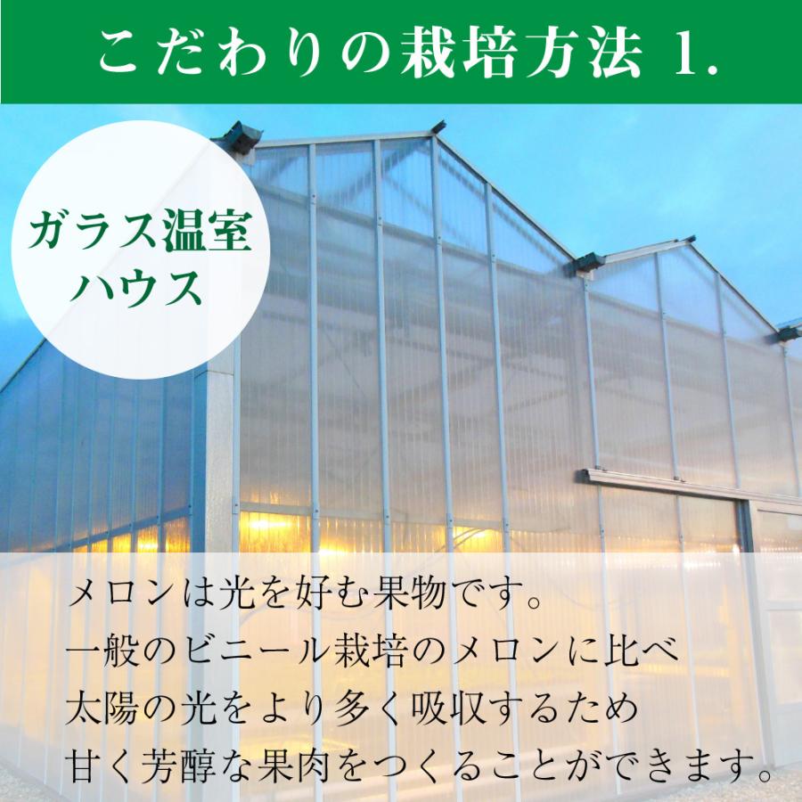 フルーツ・メロン クラウンメロン 上 山等級 大玉 1.4kg前後 1玉入り マスクメロン メロン高級フルーツ お見舞い 母の日 ギフト 内祝い 贈答 フルーツギフト | ブランド登録なし | 06
