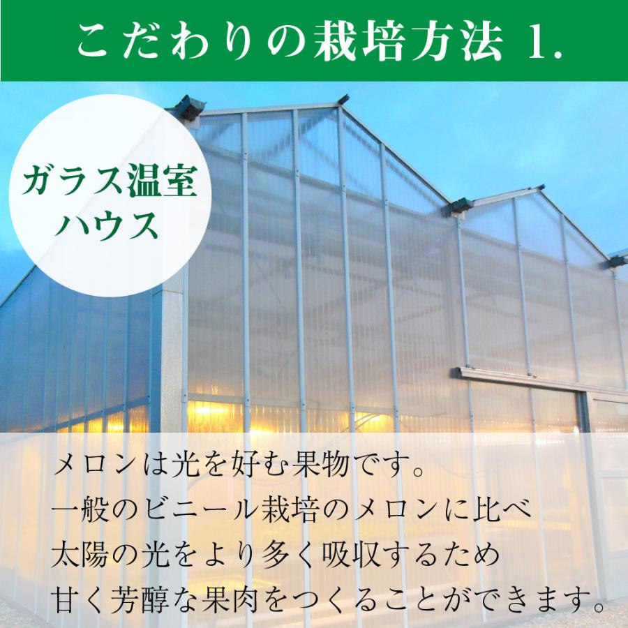 フルーツ・メロン クラウンメロン 上 山等級 大玉 1.4kg前後 1玉入り マスクメロン メロン高級フルーツ お見舞い 母の日 ギフト 内祝い 贈答 フルーツギフト｜crownmelon｜07