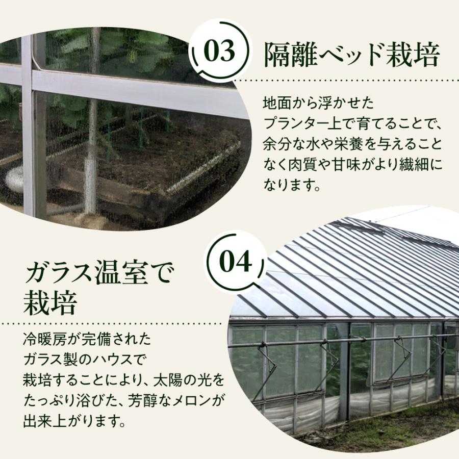 【送料無料】クラウンメロン 桐箱入り 山等級 1.3kg前後 1玉 静岡県産 |  | 07