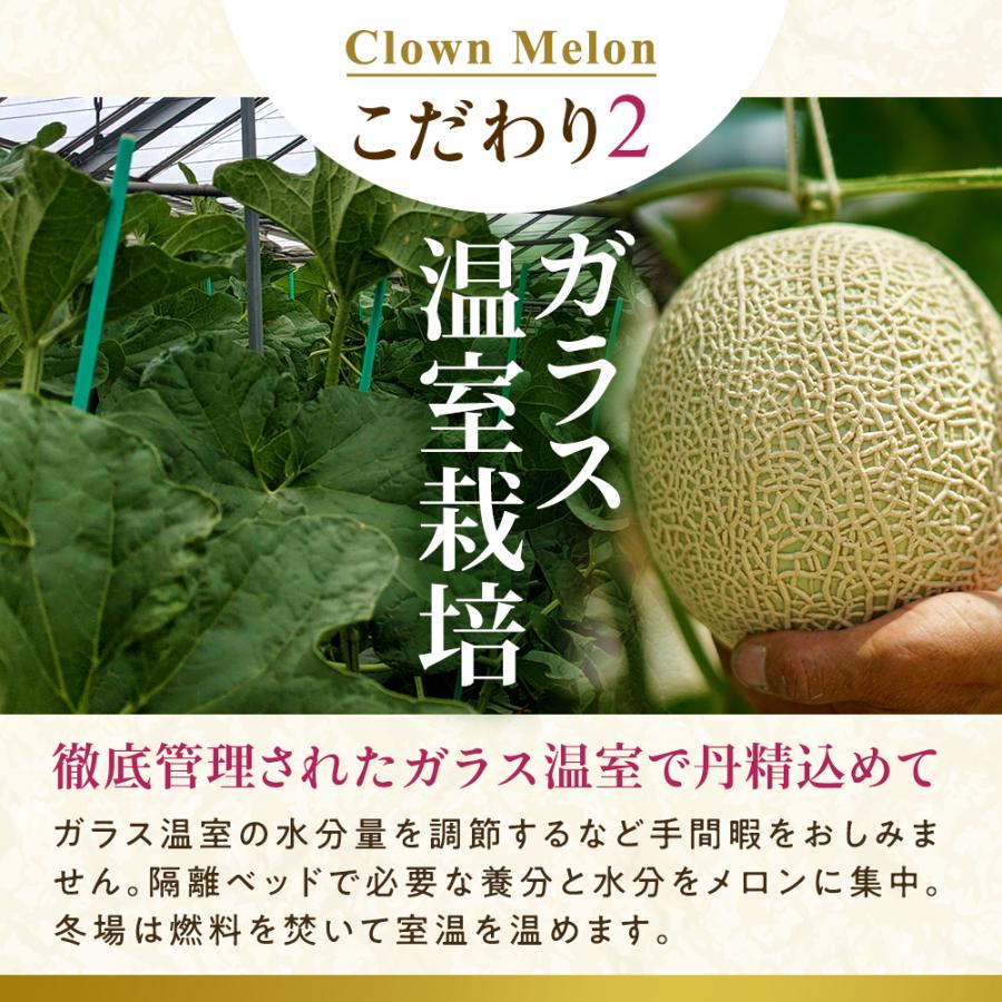 フルーツ・メロン クラウンメロン 桐箱入り 上 山等級 特大玉 1.5kg以上 1玉入り 静岡クラウンメロン マスクメロン メロン お見舞い 母の日 ギフト 贈答 | ブランド登録なし | 08