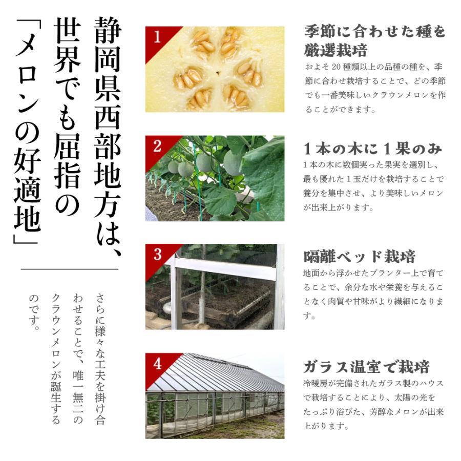 風呂敷メロン(クラウンメロン) 山等級 1.3kg前後 1玉 静岡県産 化粧箱 風呂敷包み |  | 09