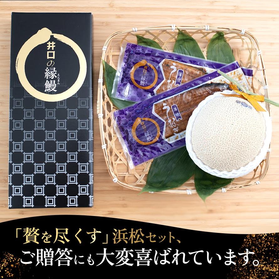 フルーツ・メロン クラウンメロン 並(白等級)1玉×うなぎ蒲焼 2本 静岡クラウンメロン 国産 うなぎの蒲焼 静岡県産 お見舞い マスクメロン メロン | ブランド登録なし | 05