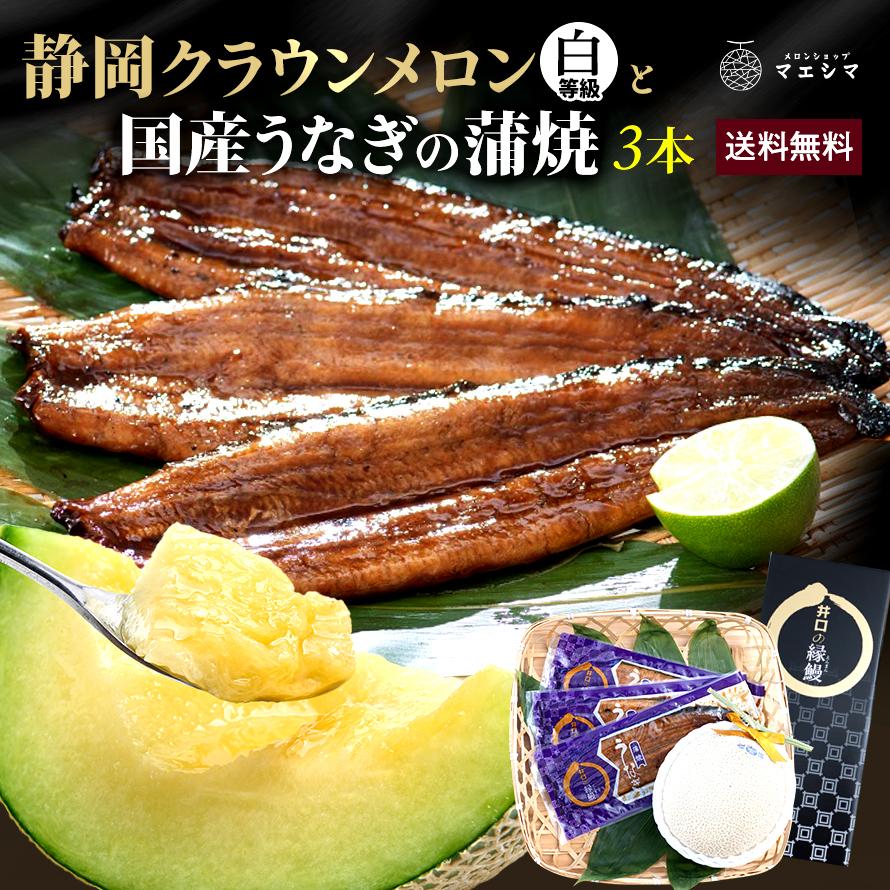 フルーツ・メロン クラウンメロン 並(白等級)1玉×うなぎ蒲焼 3本 静岡クラウンメロン 国産 うなぎの蒲焼 静岡県産 お見舞い マスクメロン メロン | ブランド登録なし