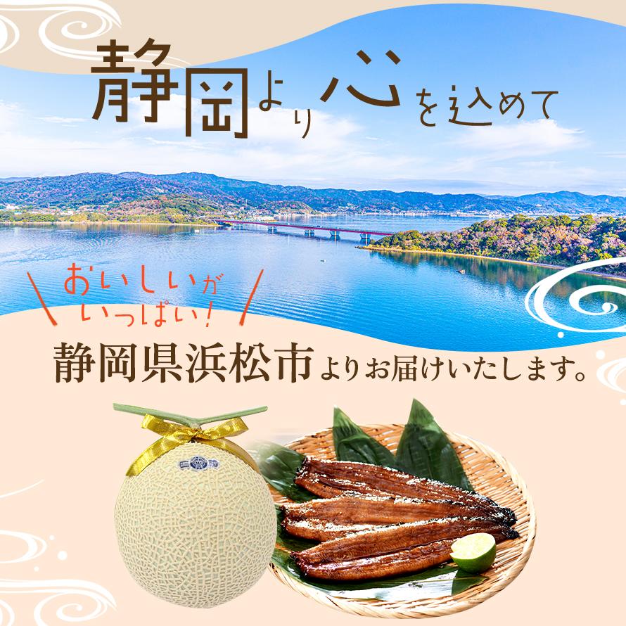 フルーツ・メロン クラウンメロン 並(白等級)1玉×うなぎ蒲焼 3本 静岡クラウンメロン 国産 うなぎの蒲焼 静岡県産 お見舞い マスクメロン メロン | ブランド登録なし | 04