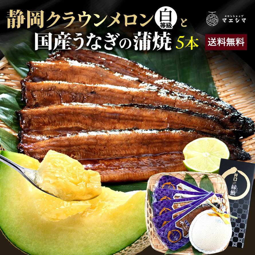 フルーツ・メロン クラウンメロン 並(白等級)1玉×うなぎ蒲焼 5本 静岡クラウンメロン 国産 うなぎの蒲焼 静岡県産 お見舞い マスクメロン メロン | ブランド登録なし