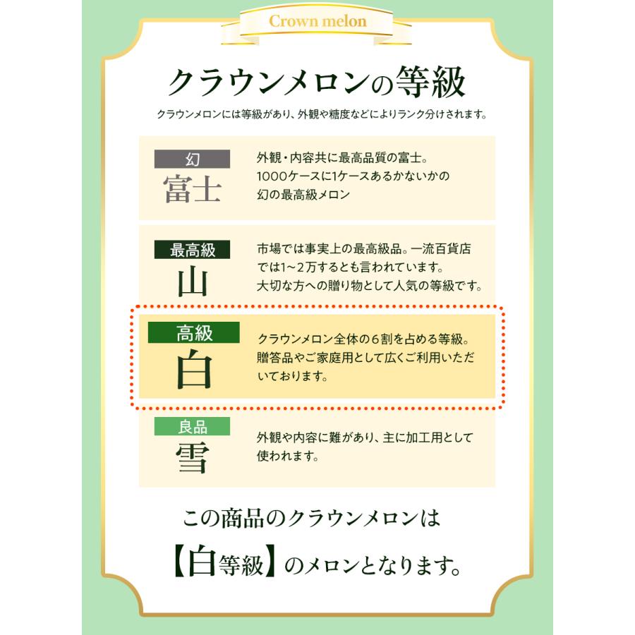 フルーツ・メロン クラウンメロン 並(白等級)1玉×うなぎ蒲焼 4本 静岡クラウンメロン 国産 うなぎの蒲焼 静岡県産 お見舞い マスクメロン メロン | ブランド登録なし | 14
