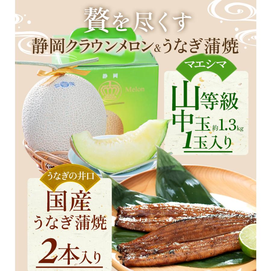 送料無料 産地直送 クラウンメロン 上(山等級)1玉×うなぎ蒲焼 2本 贈りもの 静岡クラウンメロン 浜名湖産 うなぎの蒲焼 静岡県産 マスクメロン ギフト 贈答 | ブランド登録なし | 06