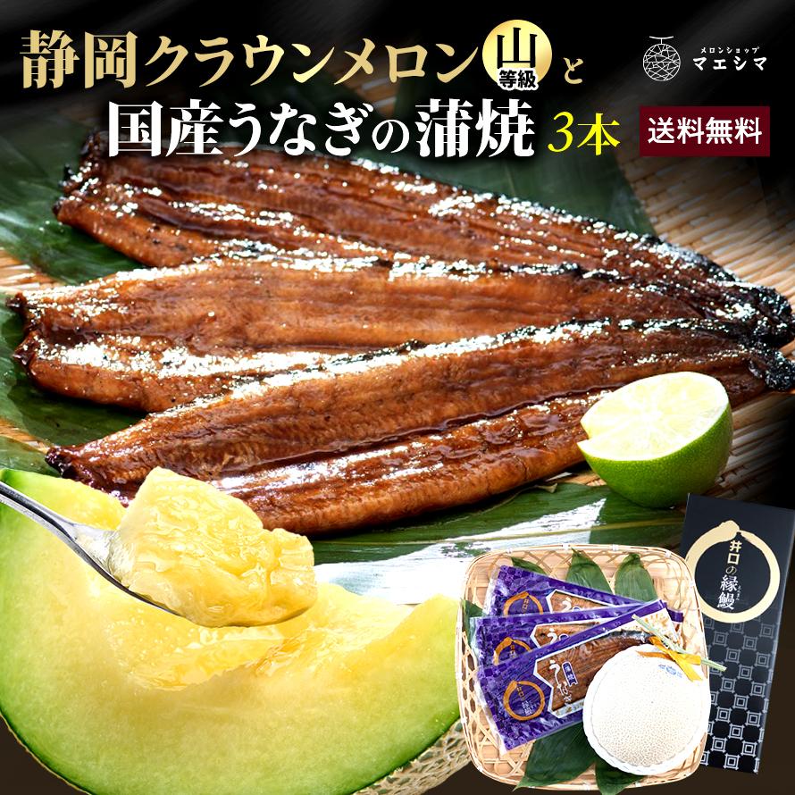送料無料 産地直送 クラウンメロン 上(山等級)1玉×うなぎ蒲焼 3本 贈りもの 静岡クラウンメロン 浜名湖産 うなぎの蒲焼 静岡県産 マスクメロン ギフト 贈答 | ブランド登録なし
