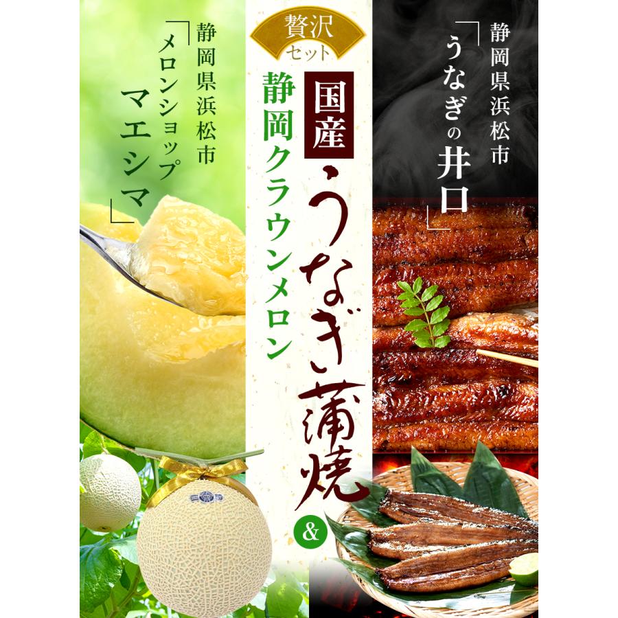 送料無料 産地直送 クラウンメロン 上(山等級)1玉×うなぎ蒲焼 3本 贈りもの 静岡クラウンメロン 浜名湖産 うなぎの蒲焼 静岡県産 マスクメロン ギフト 贈答 | ブランド登録なし | 01
