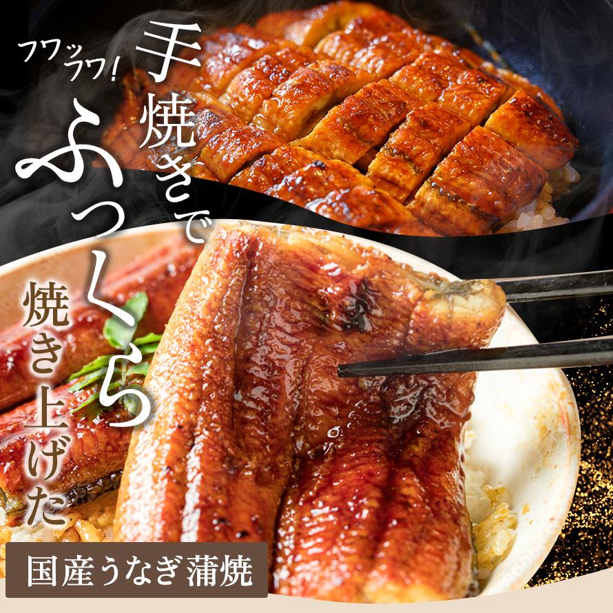 送料無料 産地直送 クラウンメロン 上(山等級)1玉×うなぎ蒲焼 3本 贈りもの 静岡クラウンメロン 浜名湖産 うなぎの蒲焼 静岡県産 マスクメロン ギフト 贈答 | ブランド登録なし | 03