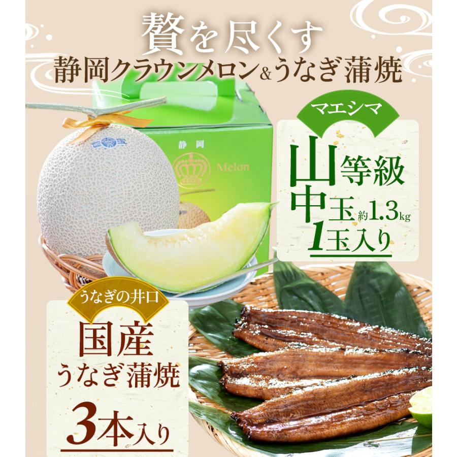 送料無料 産地直送 クラウンメロン 上(山等級)1玉×うなぎ蒲焼 3本 贈りもの 静岡クラウンメロン 浜名湖産 うなぎの蒲焼 静岡県産 マスクメロン ギフト 贈答 | ブランド登録なし | 06