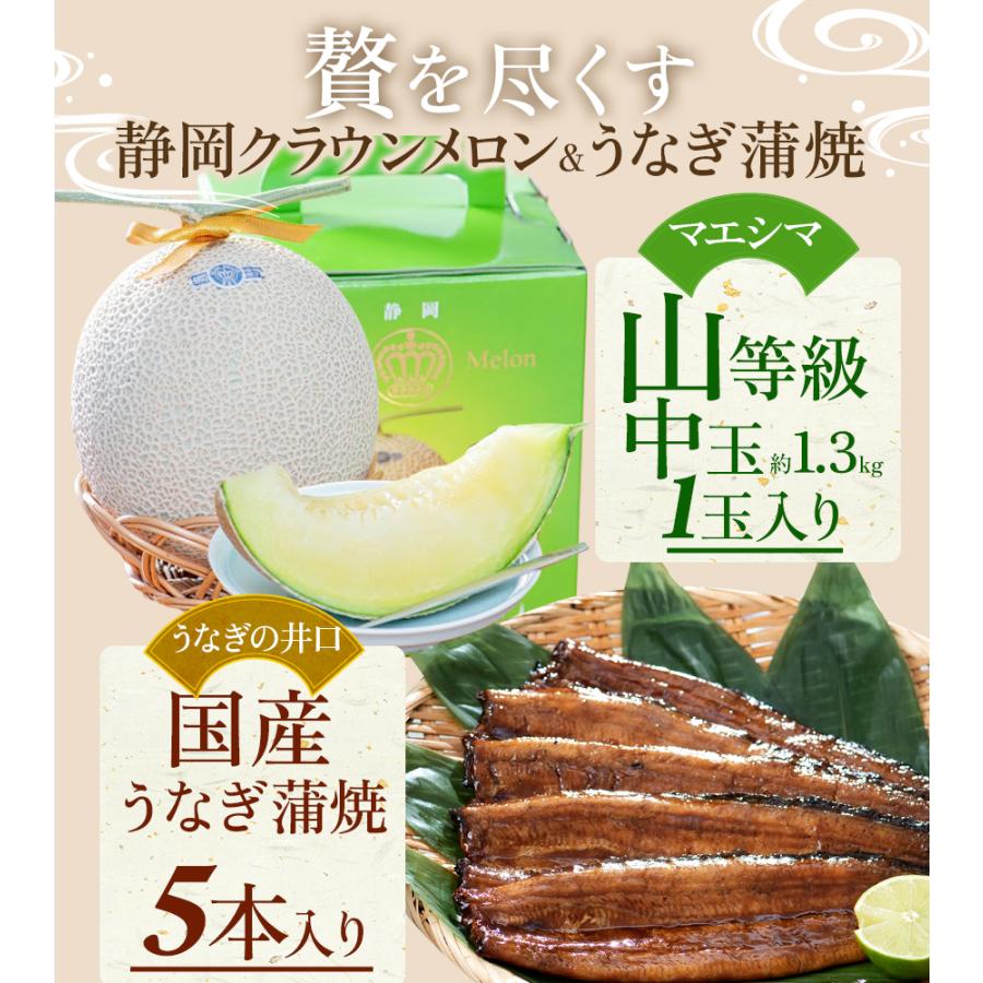 送料無料 産地直送 クラウンメロン 上(山等級)1玉×うなぎ蒲焼 5本 静岡クラウンメロン 浜名湖産 贈りもの うなぎの蒲焼 静岡県産 マスクメロン ギフト 贈答 | ブランド登録なし | 06