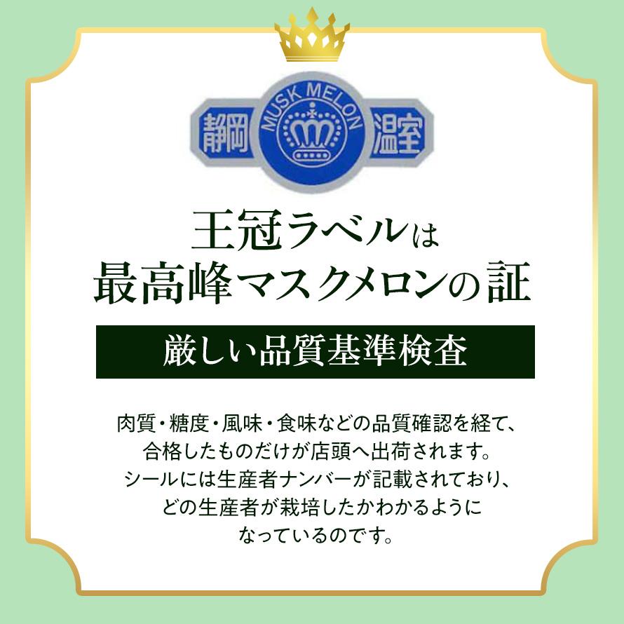 フルーツ・メロン クラウンメロン フラワーアレンジメントセット 並 白等級 大玉 1.4kg前後 1玉入り 高級フルーツ お見舞い 母の日 ギフト 内祝い 贈答  花 | ブランド登録なし | 10