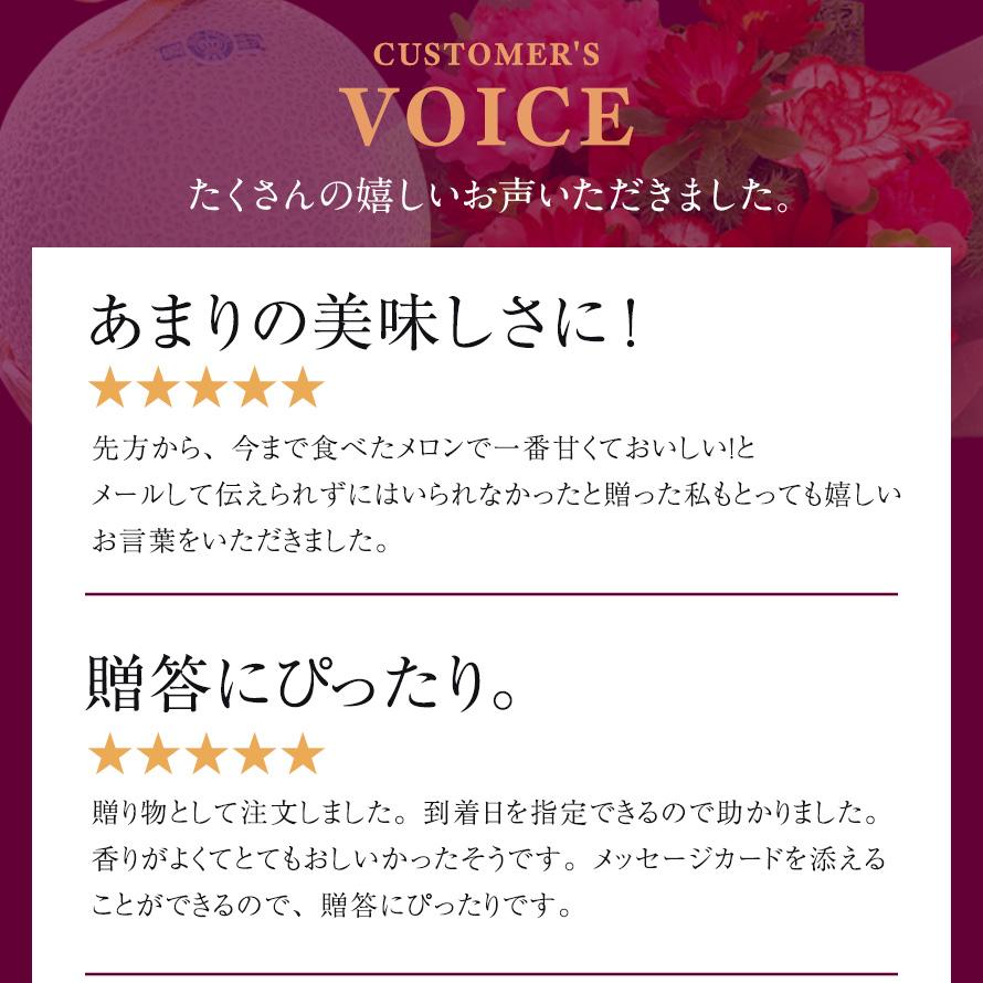 フルーツ・メロン クラウンメロン フラワーアレンジメントセット 並 白等級 大玉 1.4kg前後 1玉入り 高級フルーツ お見舞い 母の日 ギフト 内祝い 贈答  花 | ブランド登録なし | 12