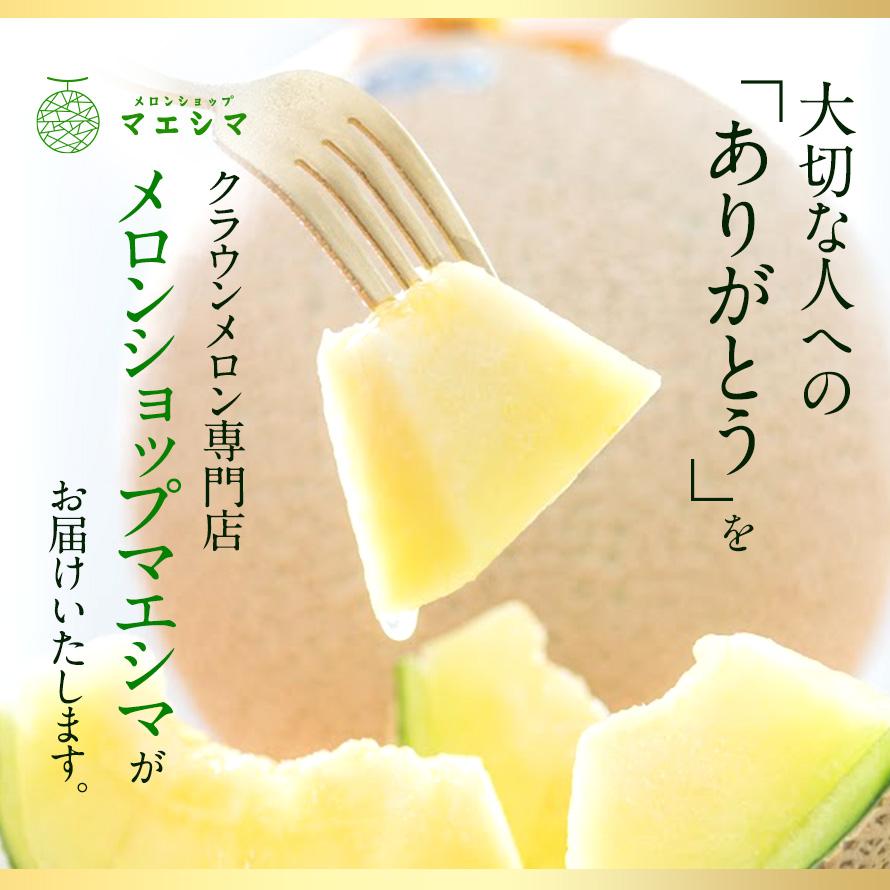 フルーツ・メロン クラウンメロン フラワーアレンジメントセット 並 白等級 大玉 1.4kg前後 1玉入り 高級フルーツ お見舞い 母の日 ギフト 内祝い 贈答  花 | ブランド登録なし | 01