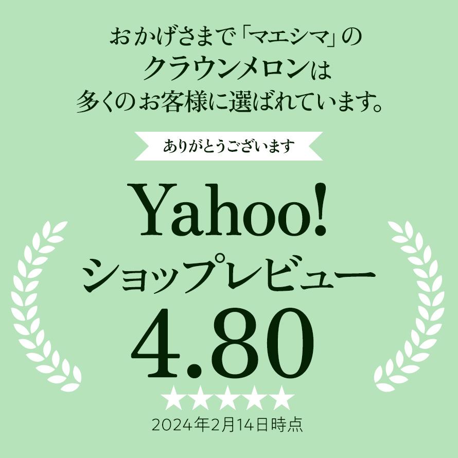 フルーツ・メロン クラウンメロン フラワーアレンジメントセット 並 白等級 大玉 1.4kg前後 1玉入り 高級フルーツ お見舞い 母の日 ギフト 内祝い 贈答  花 | ブランド登録なし | 03