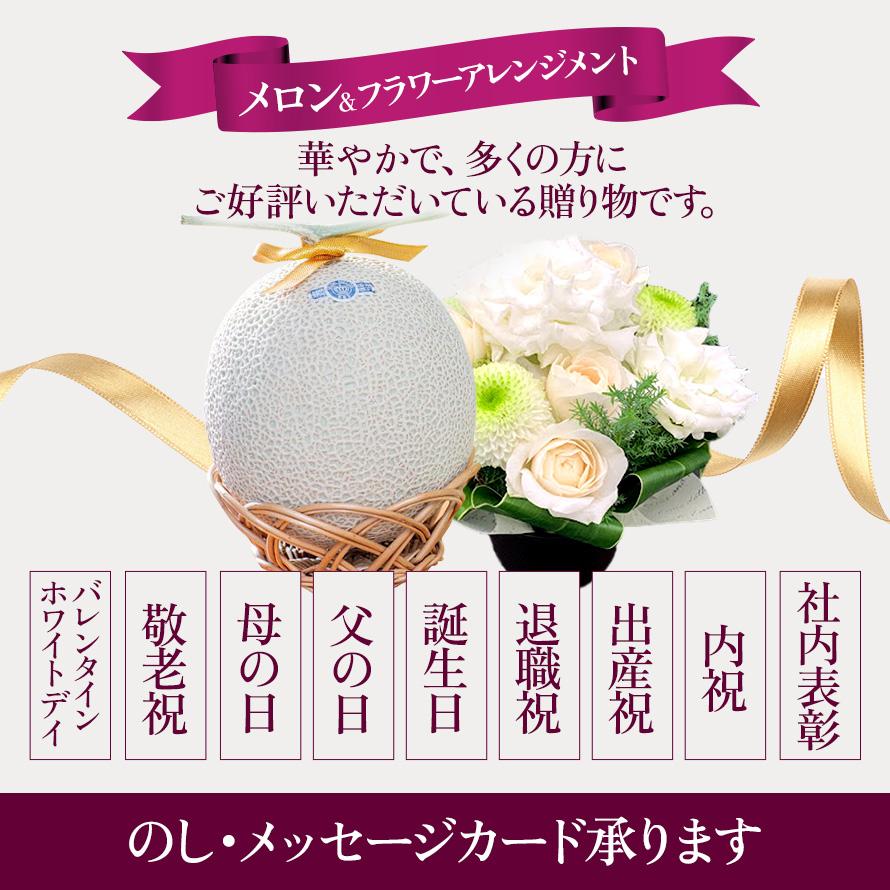 フルーツ・メロン クラウンメロン フラワーアレンジメントセット 並 白等級 大玉 1.4kg前後 1玉入り 高級フルーツ お見舞い 母の日 ギフト 内祝い 贈答  花 | ブランド登録なし | 07