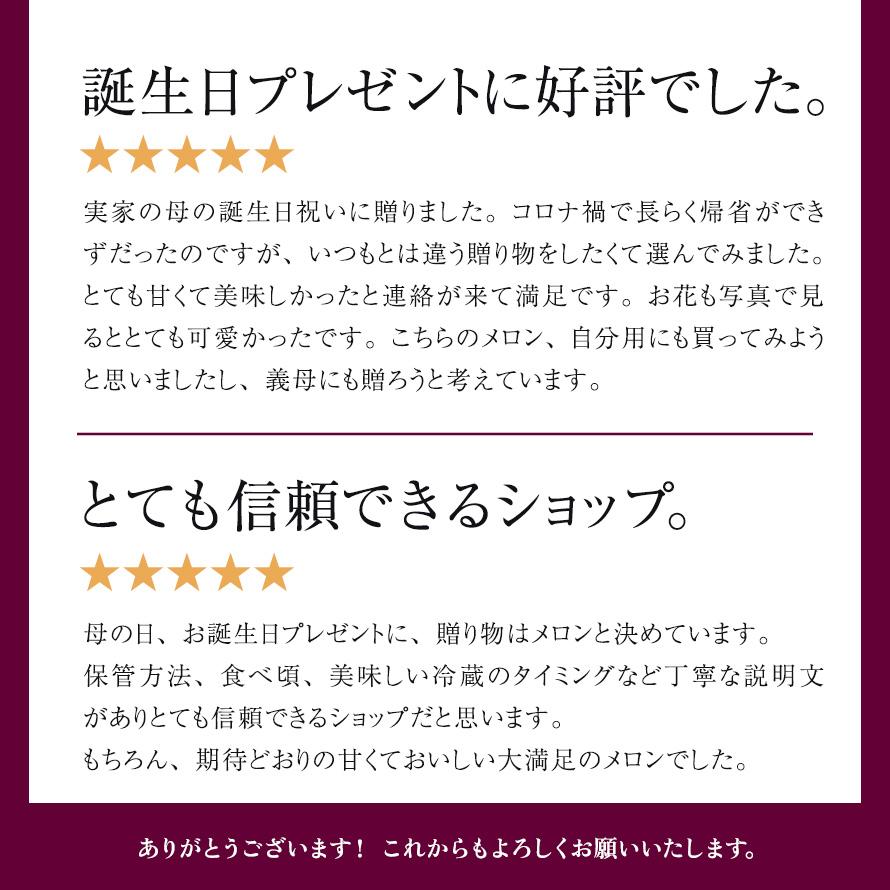 フルーツ・メロン クラウンメロン フラワーアレンジメントセット 上 山等級 中玉 1.3kg前後 1玉入り メロン高級フルーツ お見舞い 母の日 ギフト 内祝い 贈答 花 | ブランド登録なし | 13
