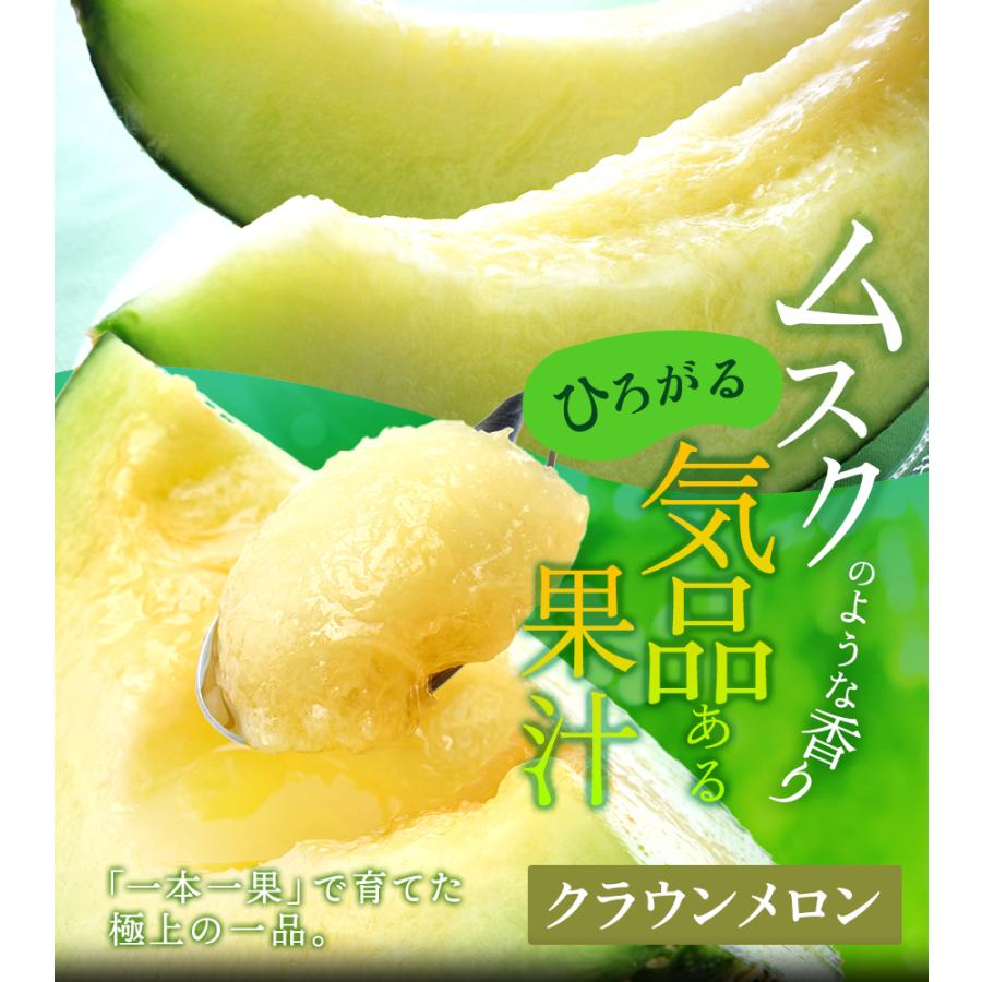 フルーツ・メロン クラウンメロン 並 白等級 1玉×うなぎ白焼 5本 静岡クラウンメロン 国産 うなぎの蒲焼 マスクメロン メロン お見舞い ギフト 贈答 | ブランド登録なし | 02
