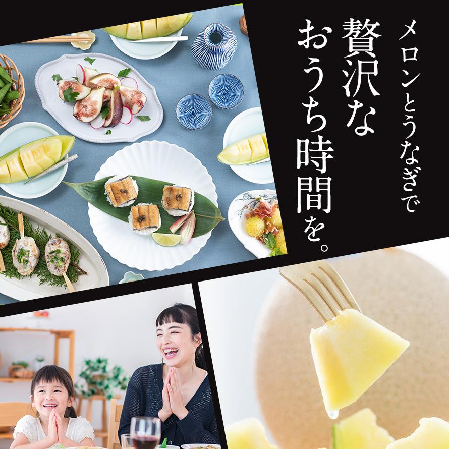 フルーツ・メロン クラウンメロン 上 山等級 1玉×うなぎ白焼 3本 静岡クラウンメロン 国産 うなぎの蒲焼 母の日 ギフト 内祝い 贈答 フルーツギフト | ブランド登録なし | 10